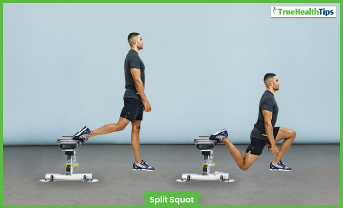 Split Squat