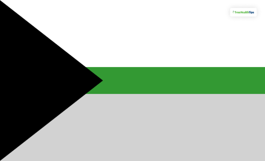 Demiromatic Flag