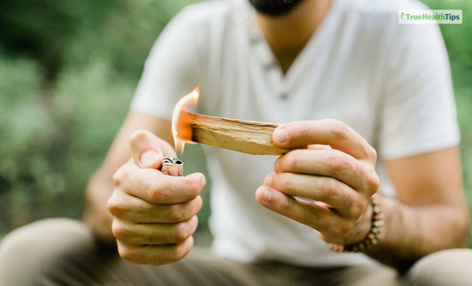 Physical Benefits Of Palo Santo 