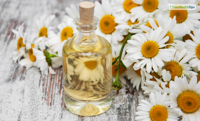 Chamomile: The Soothing Sedative