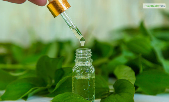 Tulsi Essential Oil Benefits: What Does It Contain?