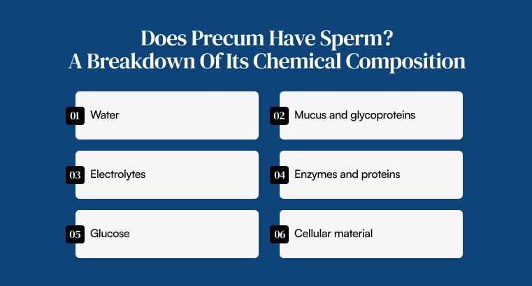 Does Precum Have Sperm_ A Breakdown Of Its Chemical Composition