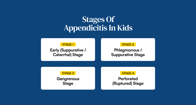 Stages Of Appendicitis In Kids
